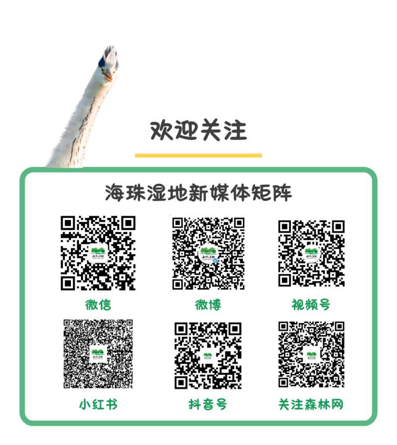 推文end图.png