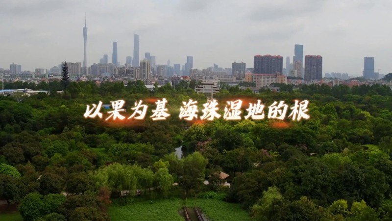视频预览图