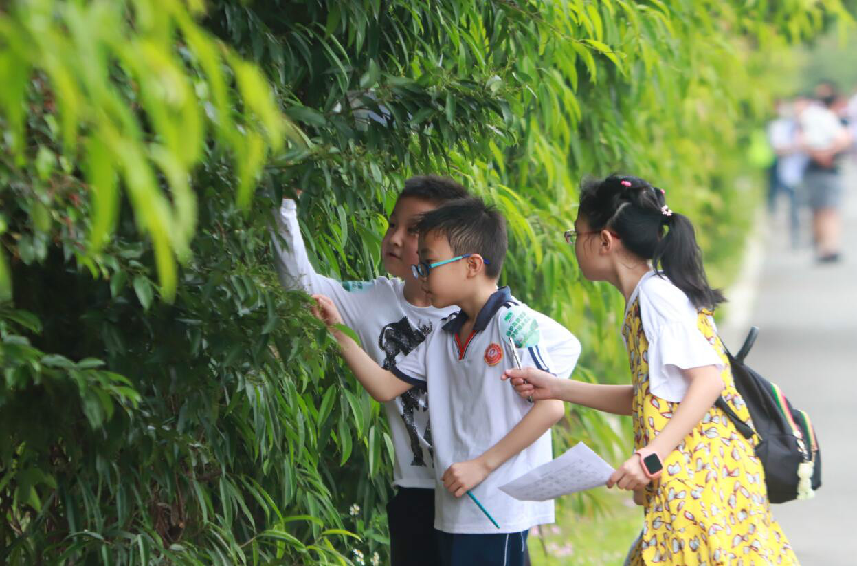 海珠湿地第三届观鸟比赛暨2018年海珠区中小学生鸟类和植物识