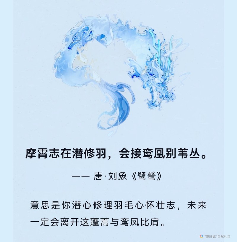 Screenshot_20240207_200438_com.tencent.mm_edit_3711833933484660