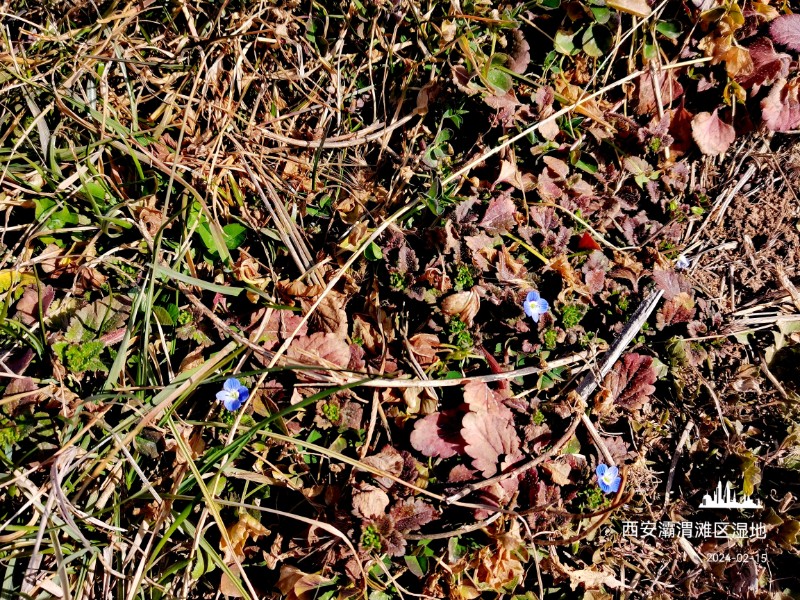 IMG_20240216_072751