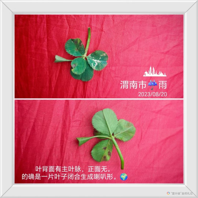 mmexport1708186848588