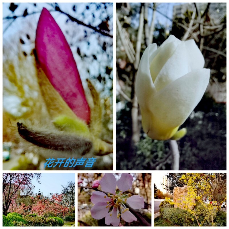 Collage_20240319_154530_edit_169841608576167