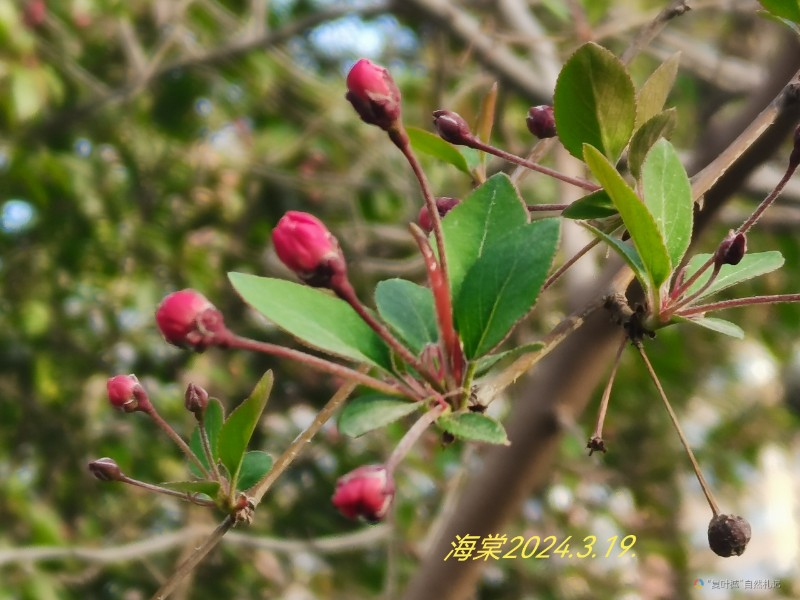 IMG_20240319_160345