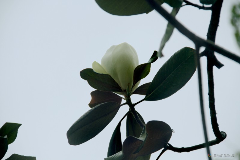 IMG_20240603_013444