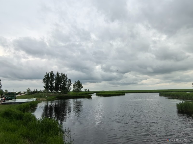 IMG_20240621_100608_1