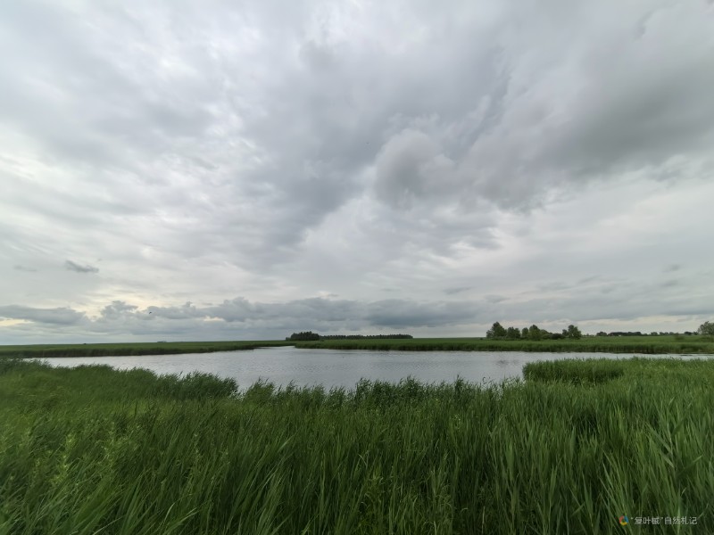 IMG_20240621_103242