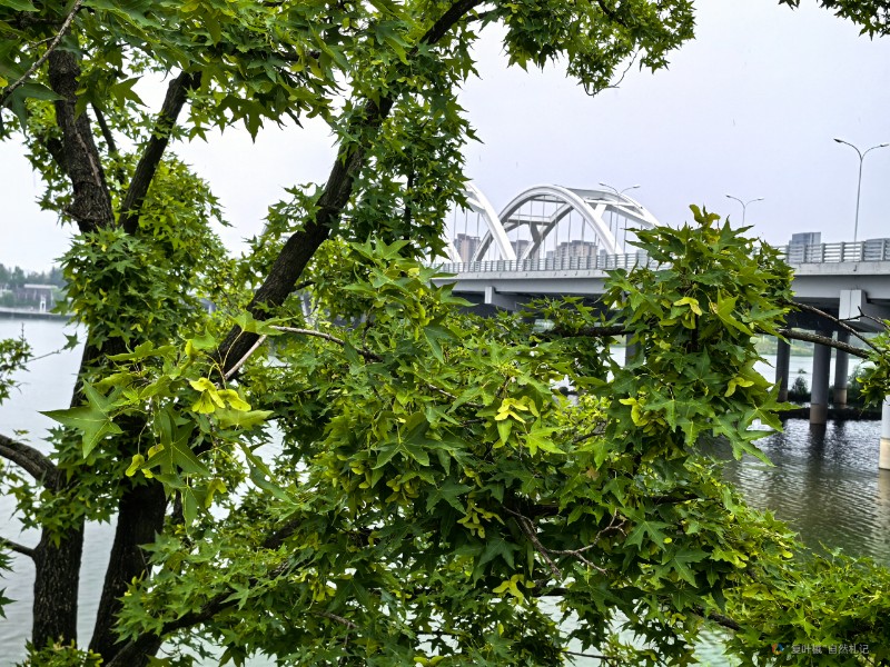 IMG_20240707_095351