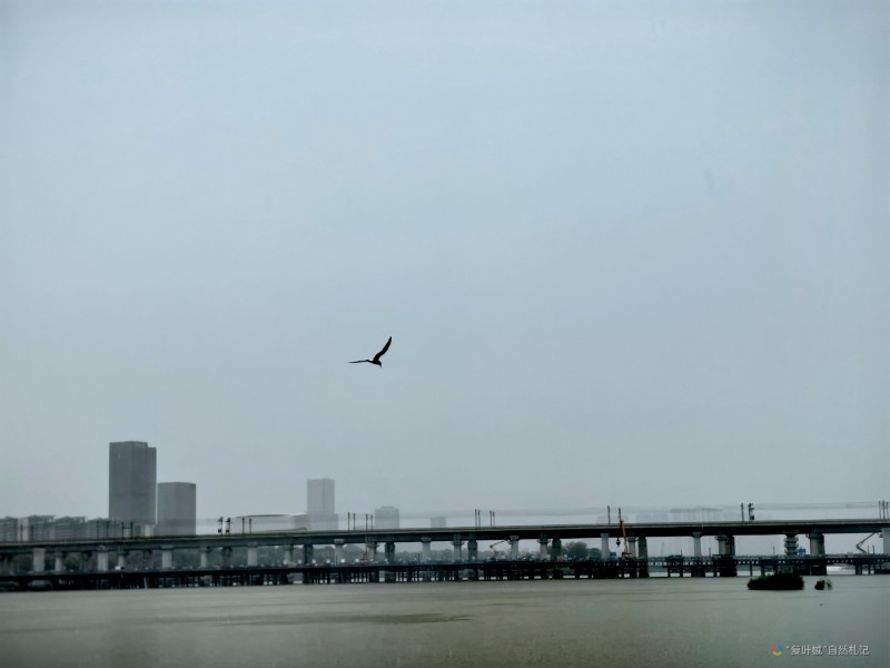 IMG_20240707_203623