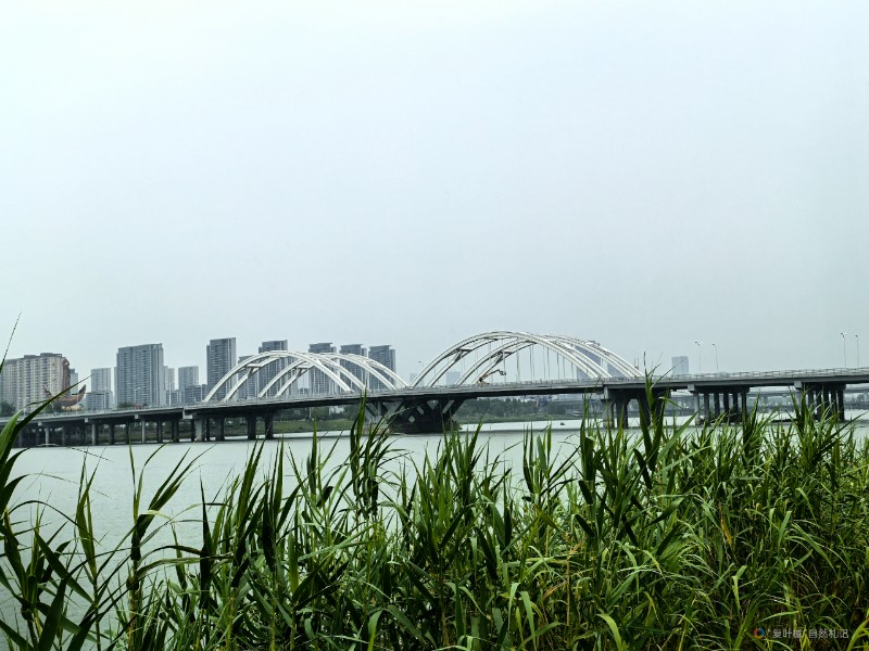 IMG_20240707_094813