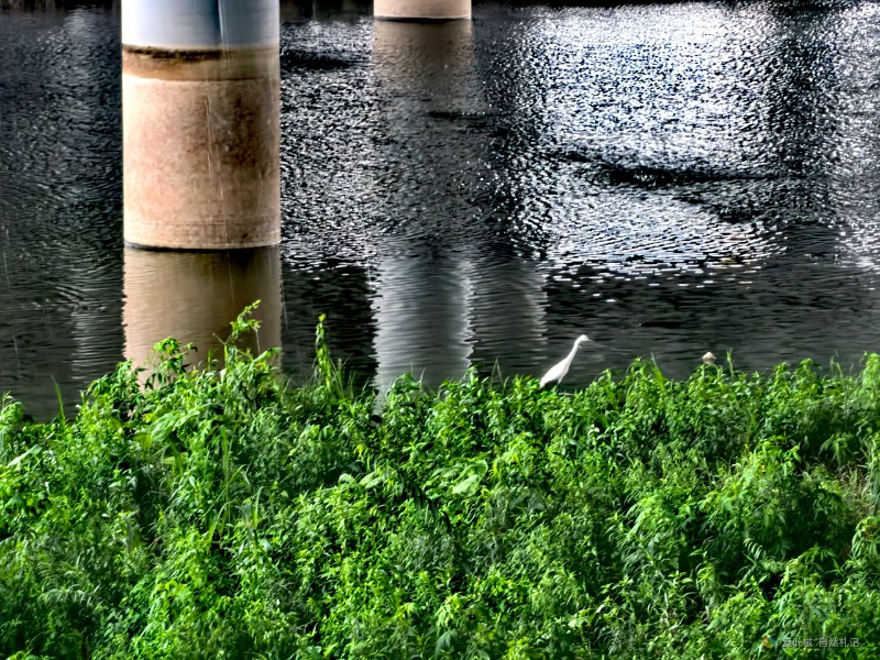 IMG_20240707_204057