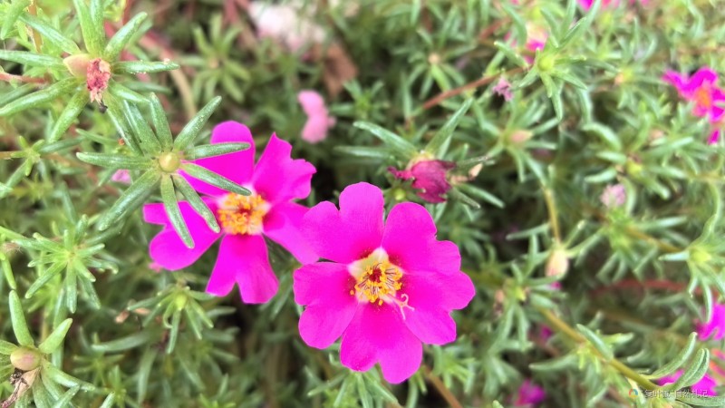 wx_camera_1722742607154