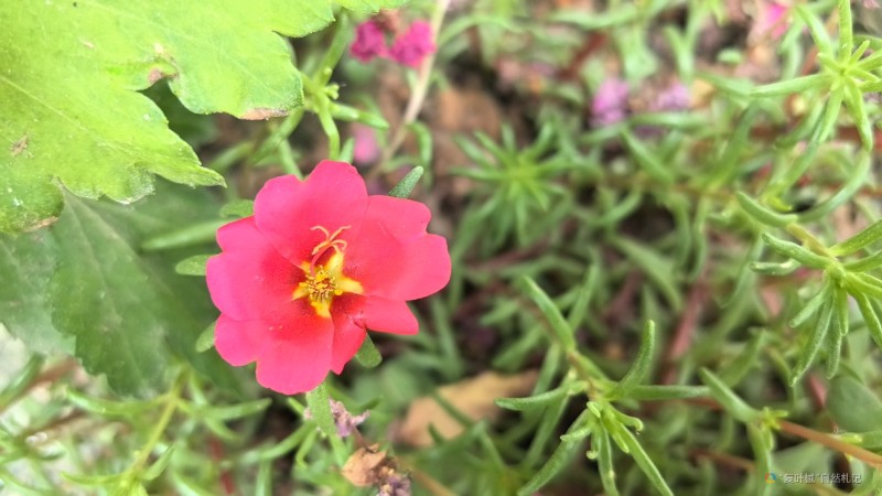 wx_camera_1722742575845