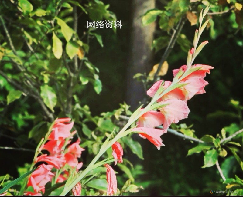 Screenshot_20240812_160845