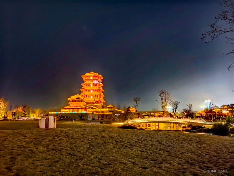 IMG_20250214_212837