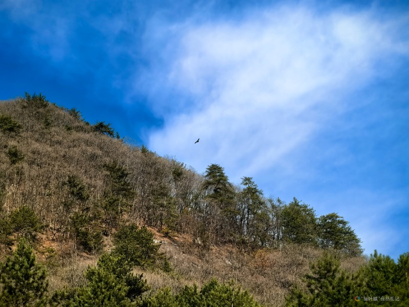 IMG_20250215_160334