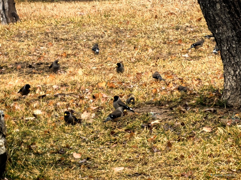 IMG_20250220_160859