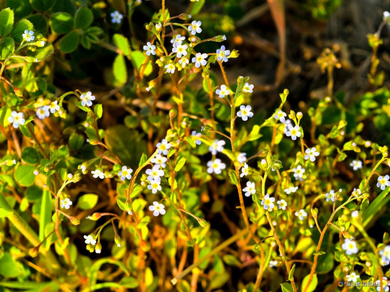 IMG_20250322_211252
