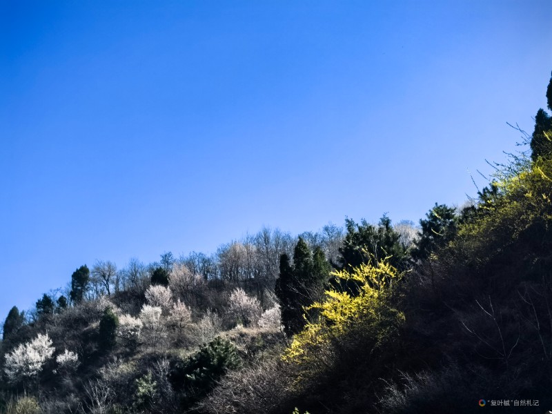 IMG_20250325_104210