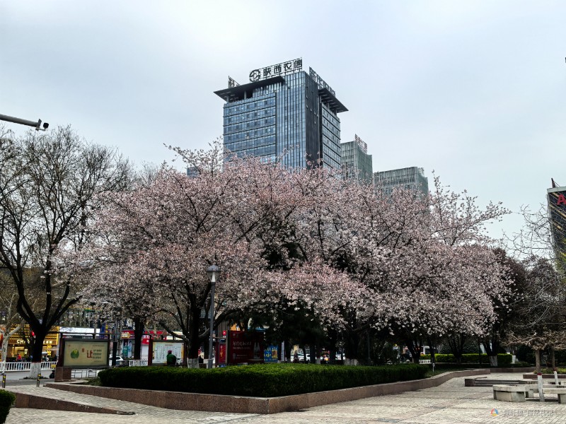 IMG_20250327_175234_1