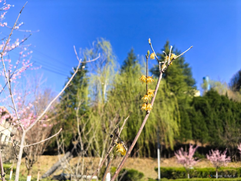 IMG_20250414_092946
