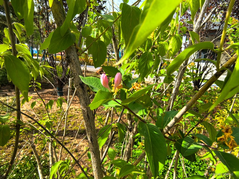 IMG_20250417_161107