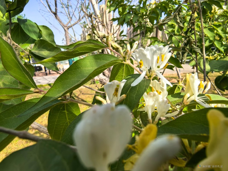 IMG_20250417_161346