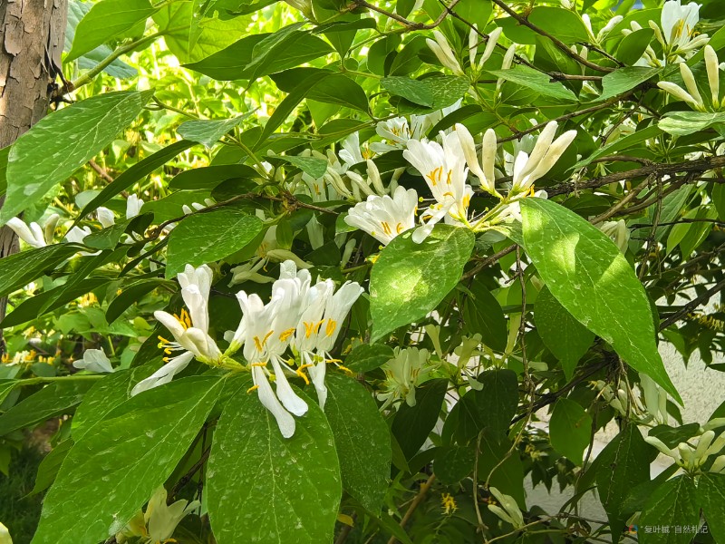 IMG_20250417_160218