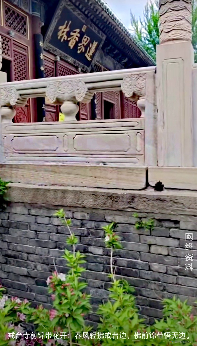 Screenshot_20250425_164713_com.tencent.mm_edit_1238399511715721