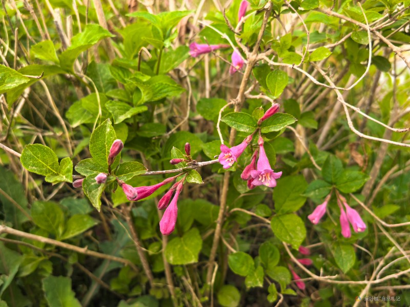 IMG_20250405_170829