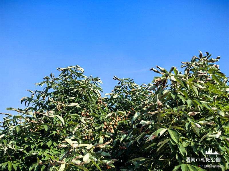 IMG_20250427_210950