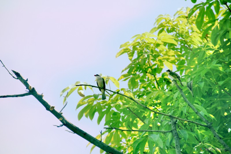 IMG_20250428_064020