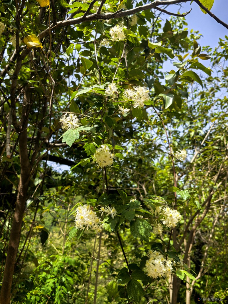 IMG_20250501_105904