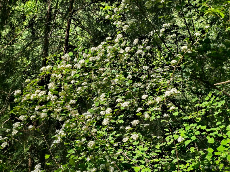 IMG_20250501_150059_edit_326419573935607