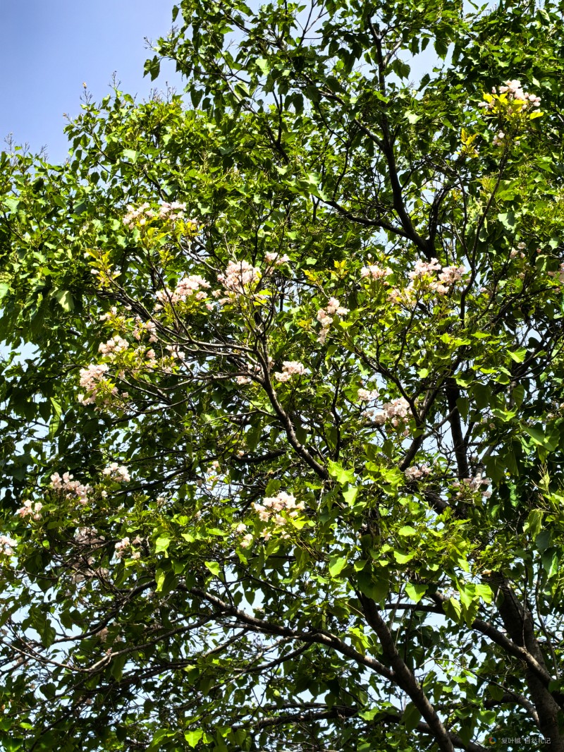 IMG_20250501_101320