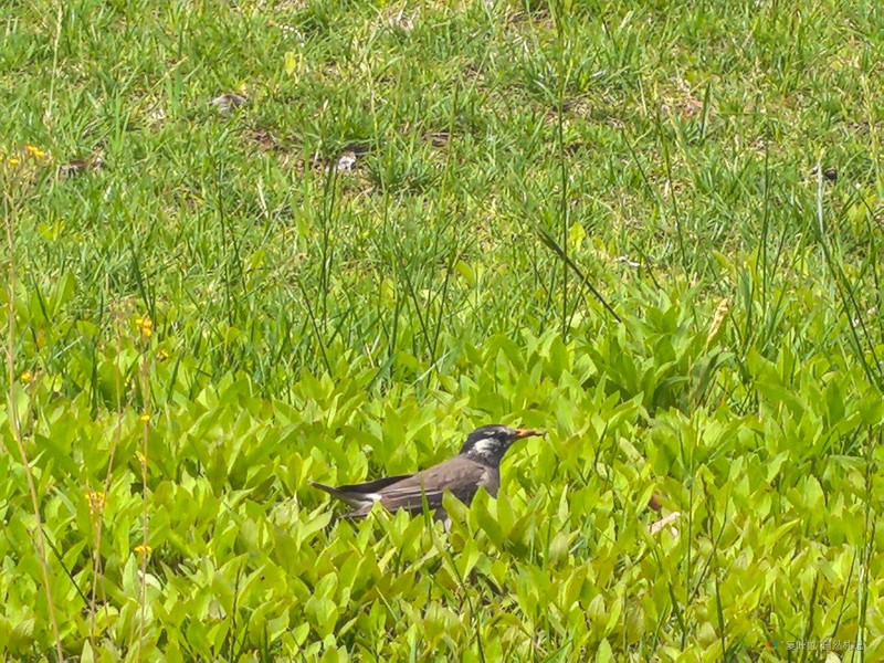 IMG_20250505_103056