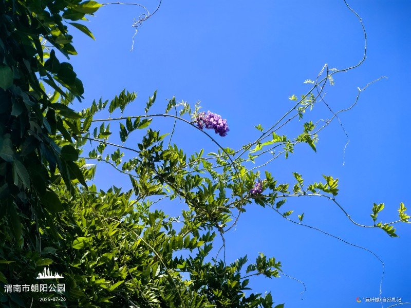 IMG_20250726_174043