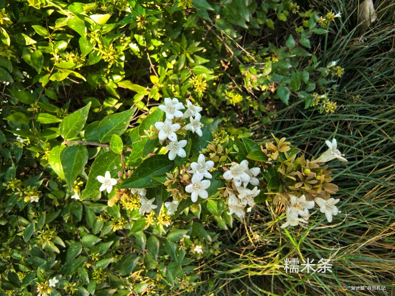 IMG_20250802_222251