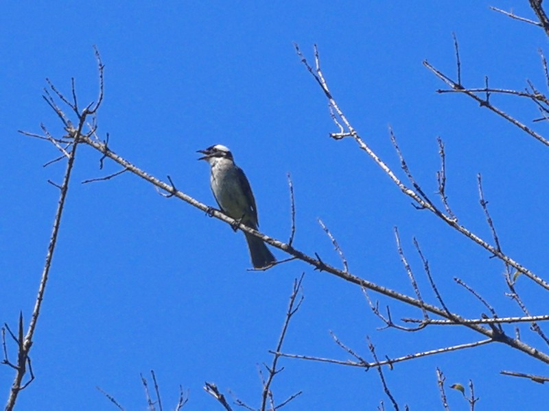 IMG_20250802_100838