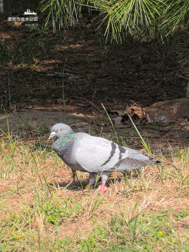 IMG_20250818_115509