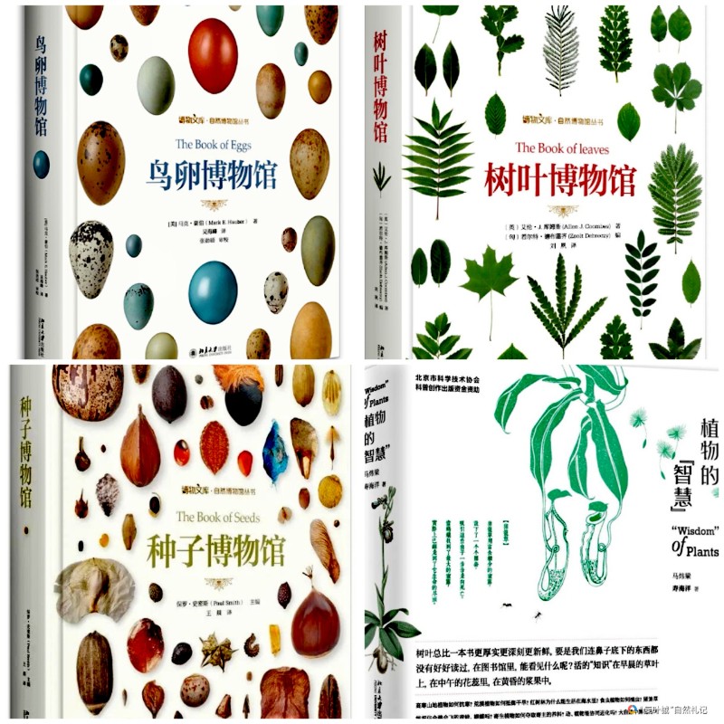 Collage_20250821_135016_edit_141198263876370