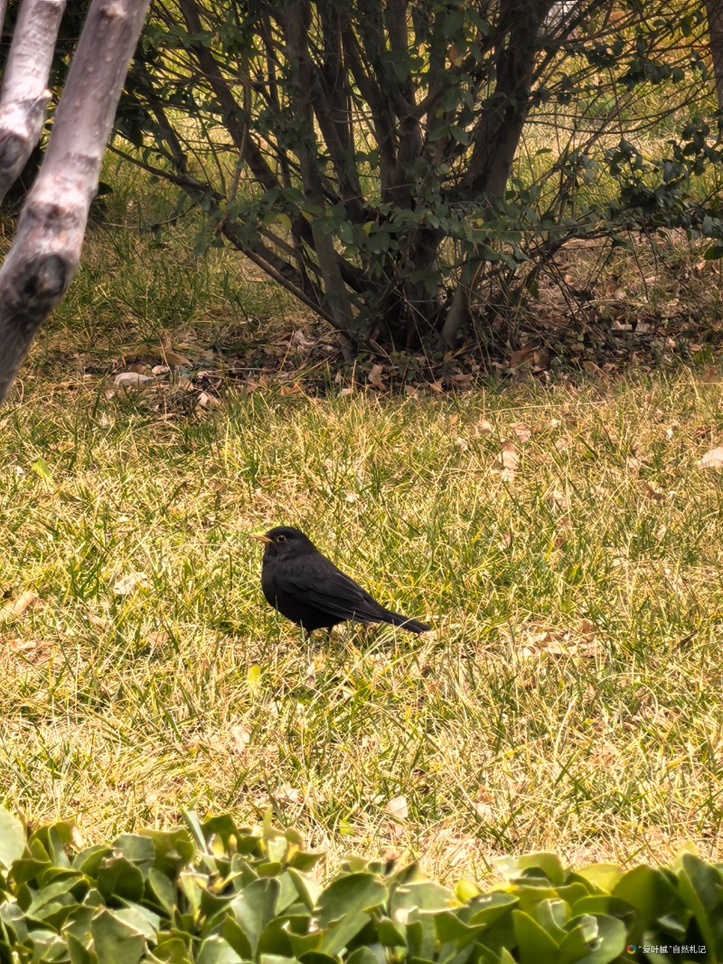 IMG_20250201_115019