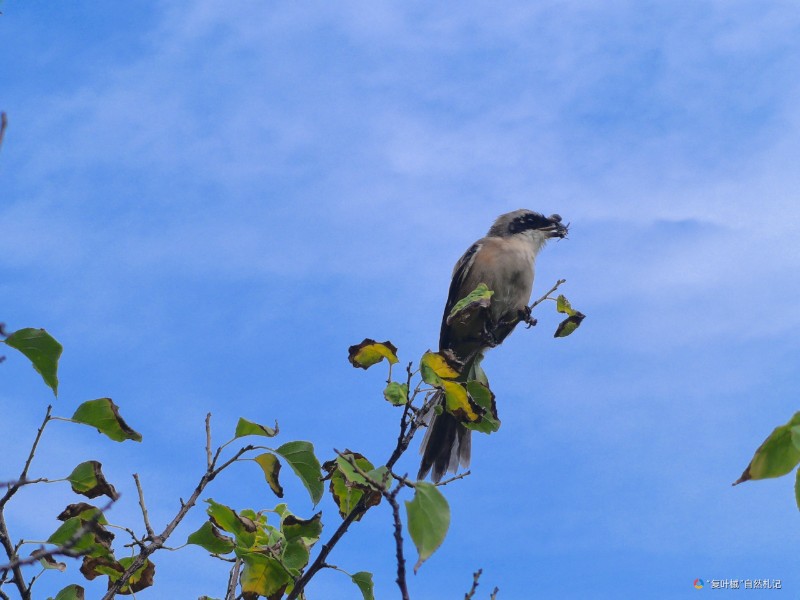 IMG_20250824_102901