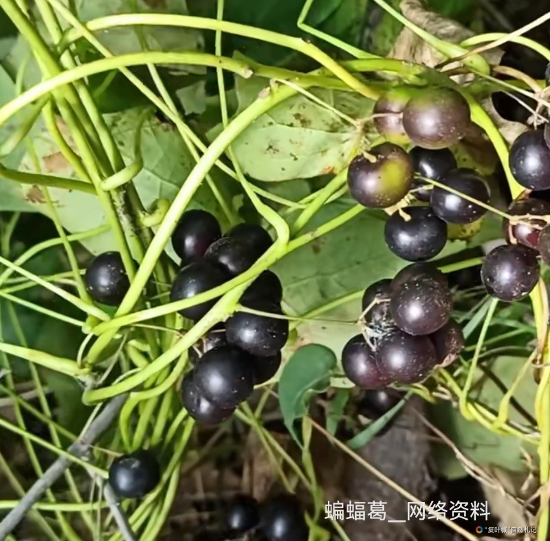 Screenshot_20250828_230249_com.tencent.mm_edit_323653758891759