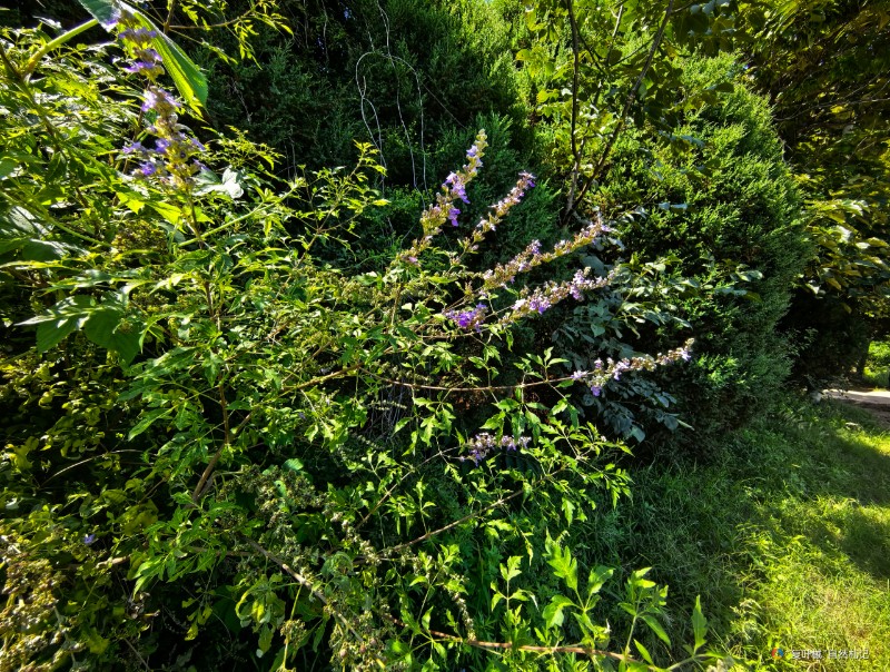 IMG_20250901_141407_edit_502291591683251