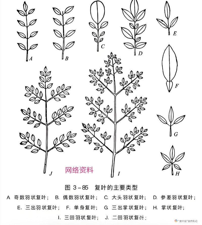 Screenshot_20250923_095210_com.huawei.browser_edit_104419550215836