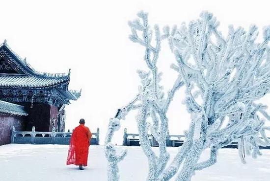 山顶的寺庙,晶莹的枝丫,远去的僧人背影……在这一方净土