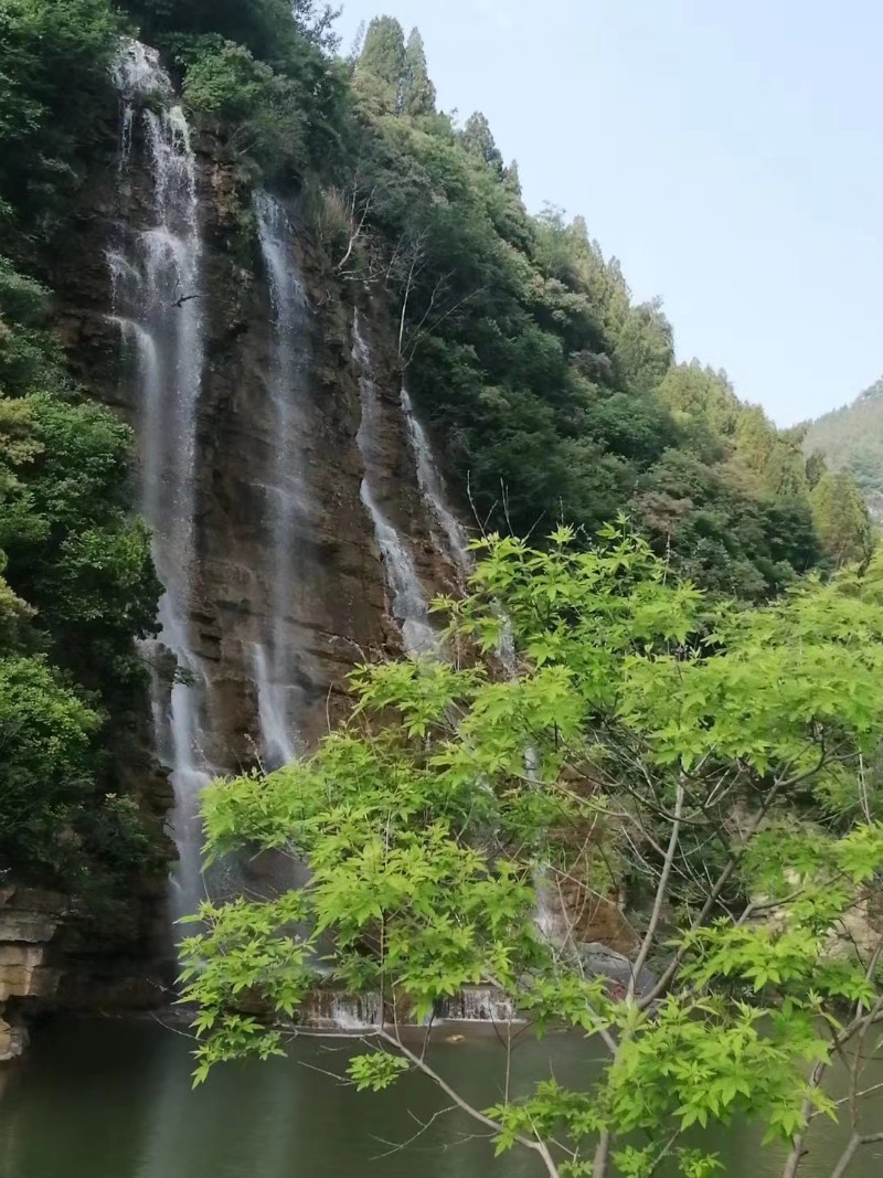 微信圖片_202208191008544