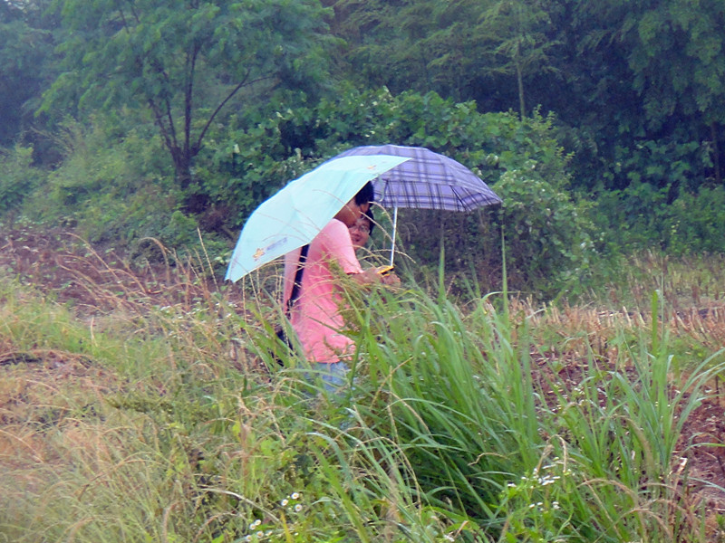 冒雨踩点