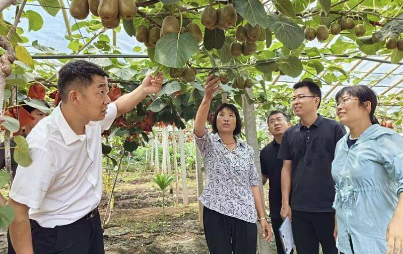科技特派員在蔬果基地指導(dǎo)種植（胡振興 攝）